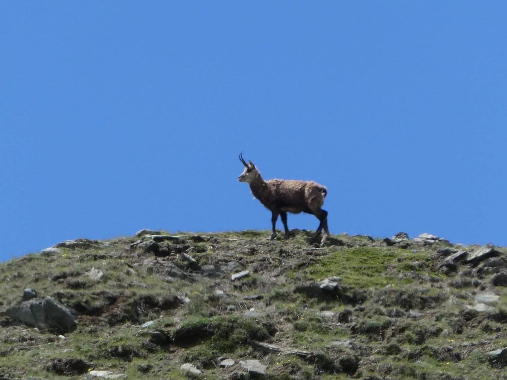 Aosta Maisongnemaz Buitenkant foto