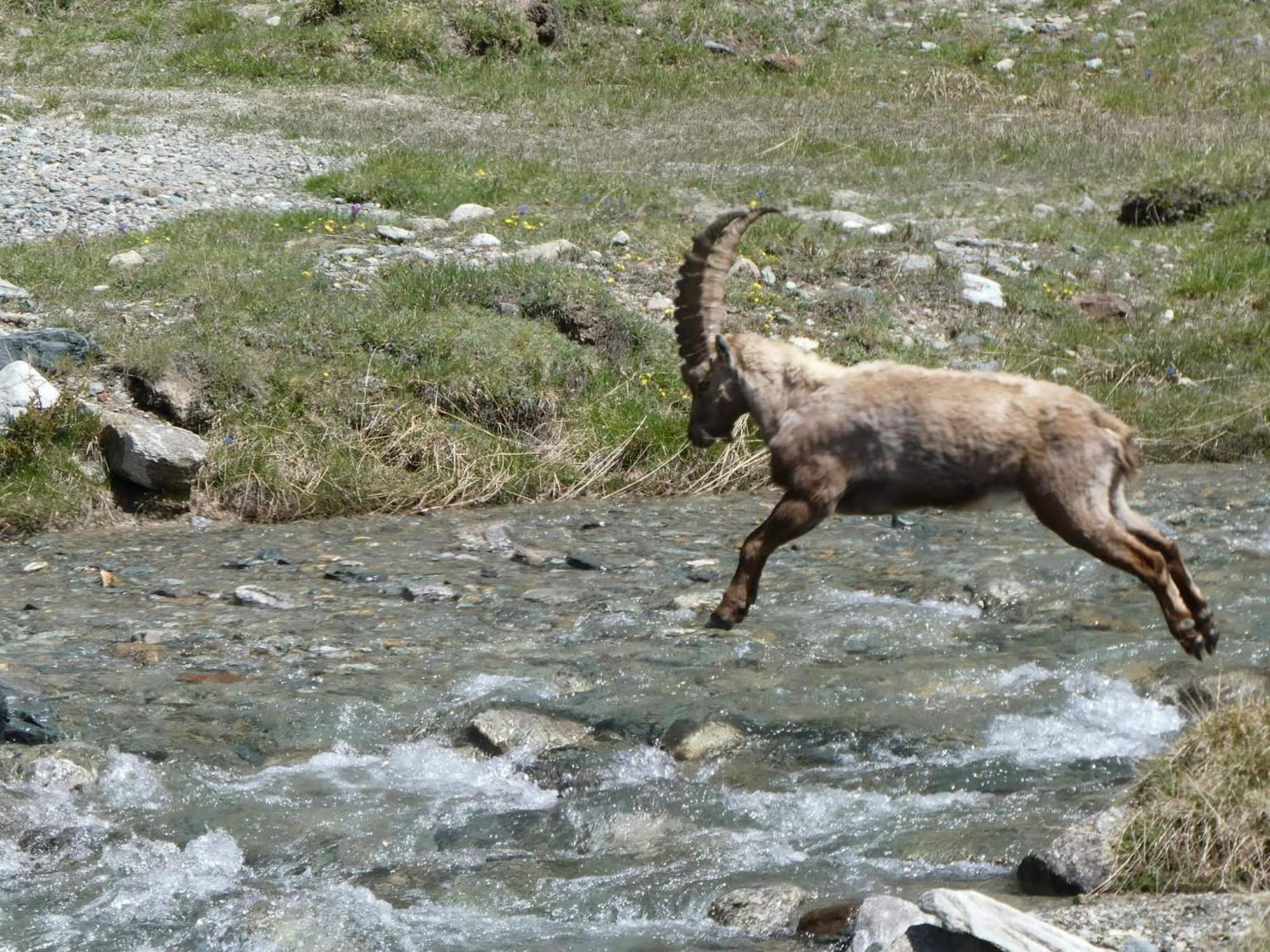 Aosta Maisongnemaz Buitenkant foto